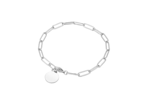 Stainless steel armbandje met ronde bedel