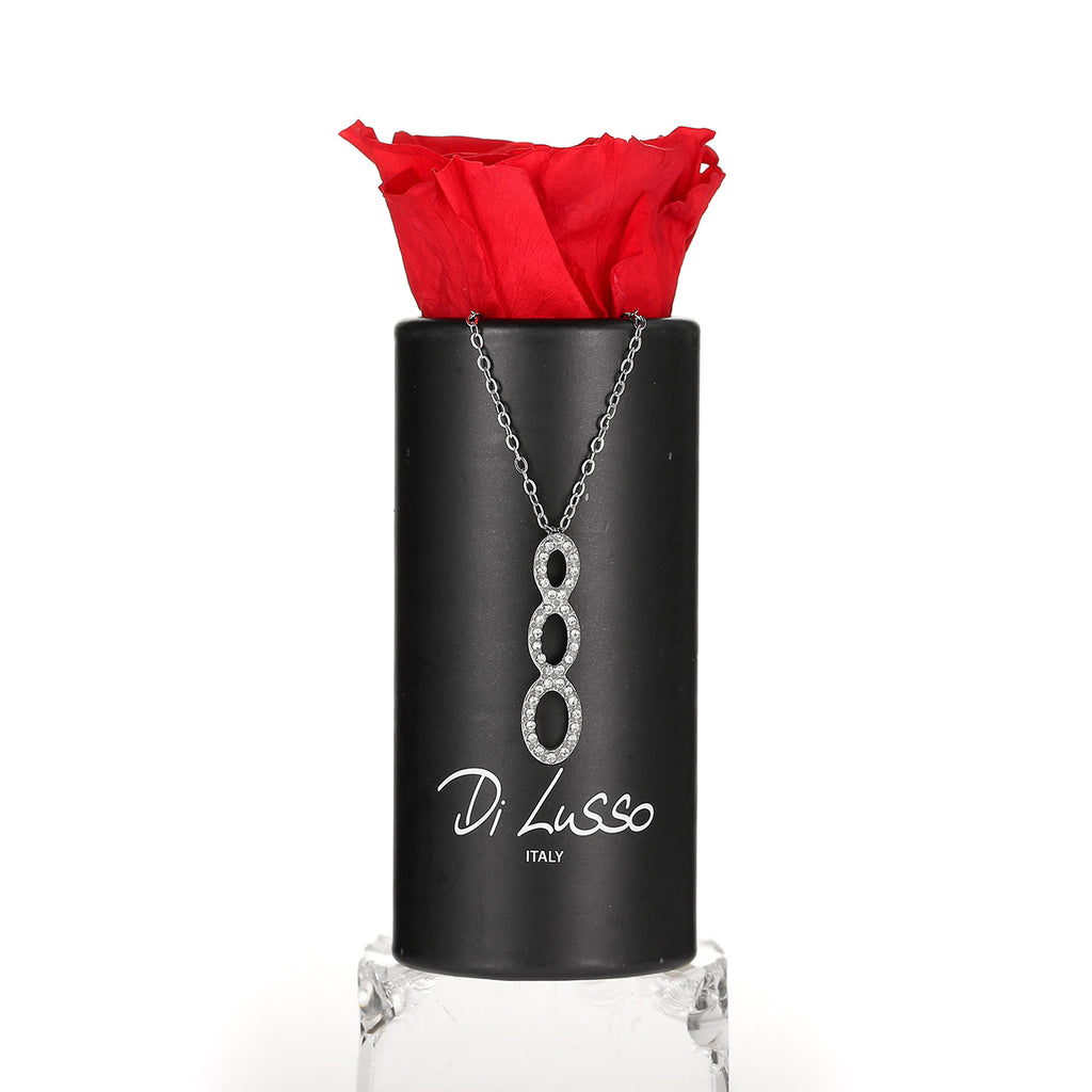 Rosebox met collier kleur rood (Stainless steel)